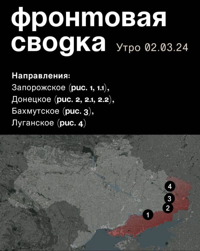 WarGonzo: ��������� ������ �� ���� 02.03.2024
