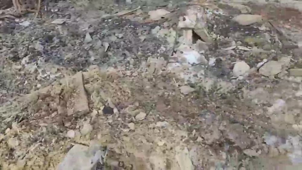 Благотворительный Фонд «СВОИМ» (