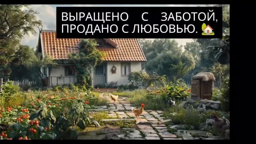������ � ��������. ����� ���������� � ��� �������� �������� ��� ������������ ������ � ��� ��� ����� ������ � ������� �������� ��������. ��� �������, ������, ���������, ������������ � �.�