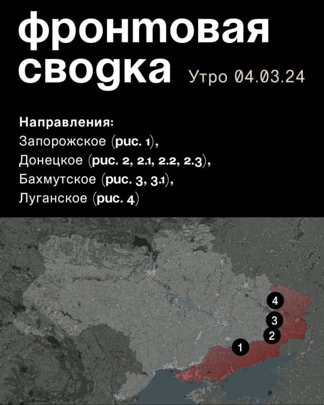 WarGonzo: ��������� ������ �� ���� 04.03.2024