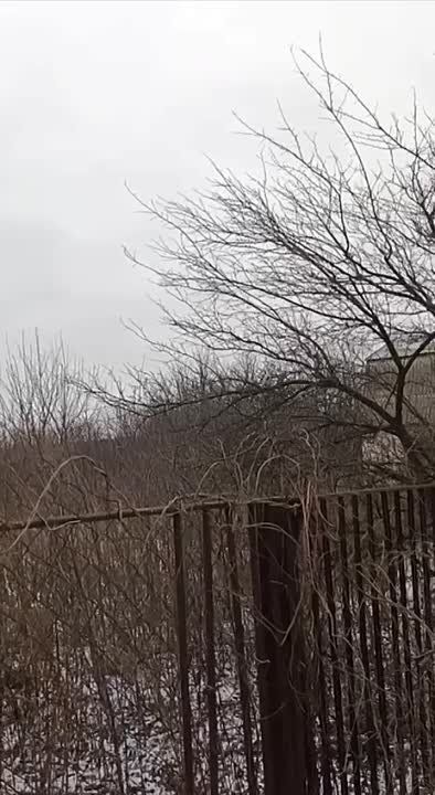 Чингис Дамбиев: Видео работы боевых вертолетов Ка-52 армейской авиации ВКС России НУРСами с кабрирования по позициям украинских формирований на Донецком направлении