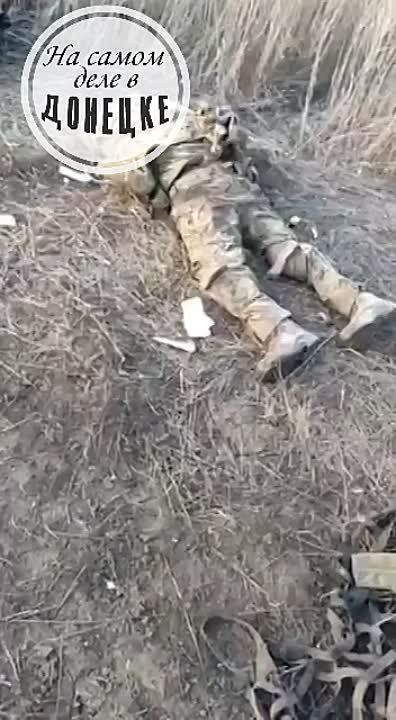 ������� �� ����������!. "����� ������ 200-����. ����� ��������, �������������... ����������� - ����.." �� ���������� �����: