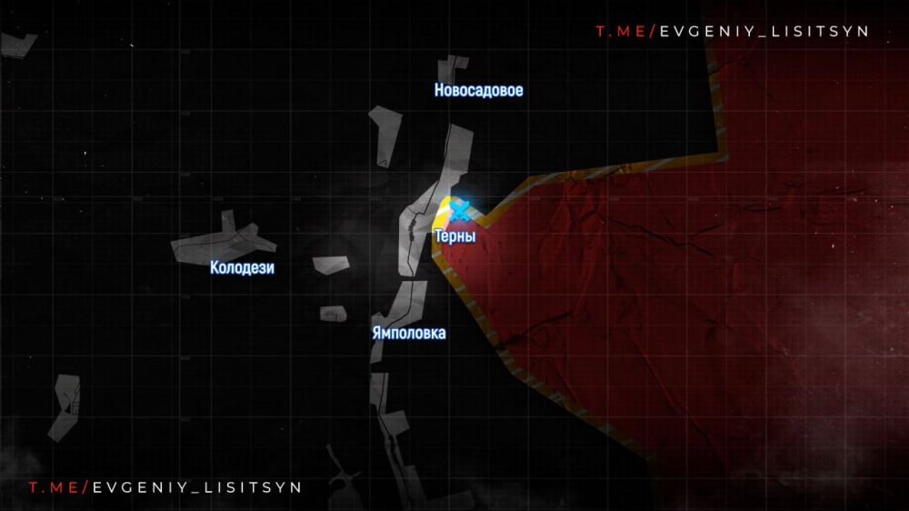 Евгений Лисицын: Сводка по состоянию 7 марта 2024 года