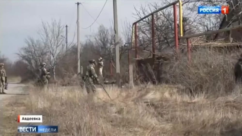 ������ ���������� � �����������