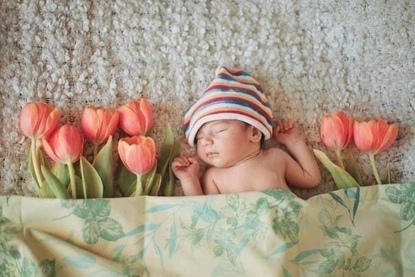 ������� ��������: �� ������� ������ � ������� �������� 28 �������: 14 ��������� � 14 �������