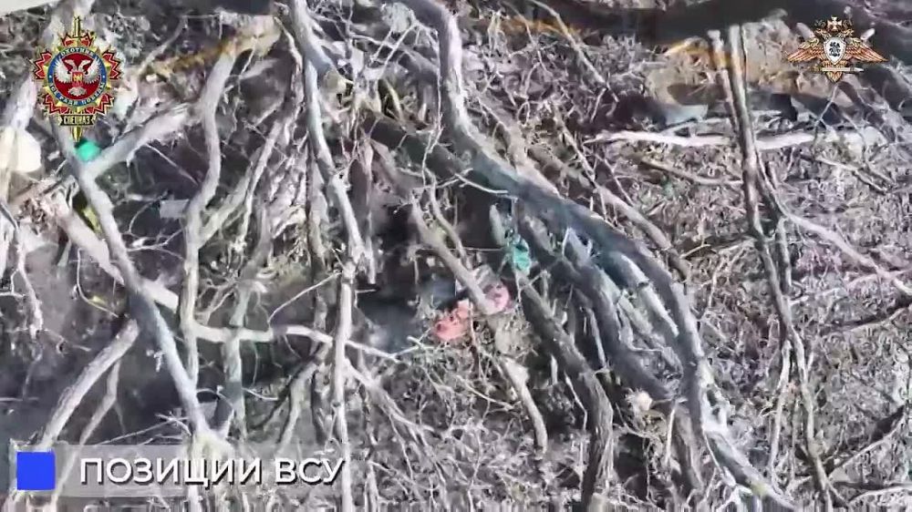 ����� �����: 58 ����� ������� �������������� ����� �� ������� ������� ��� ����������