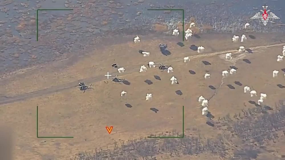 ������ �������: ����� ����������� ���������� ��� �� �������� �������� � �������� �������� ����������