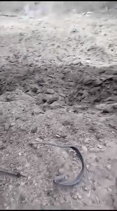 Чингис Дамбиев: Уничтоженные в Краматорском районе Донецкой Народной Республики БТР FV103 Spartan и грузовик ЗИЛ 131 украинских формирований