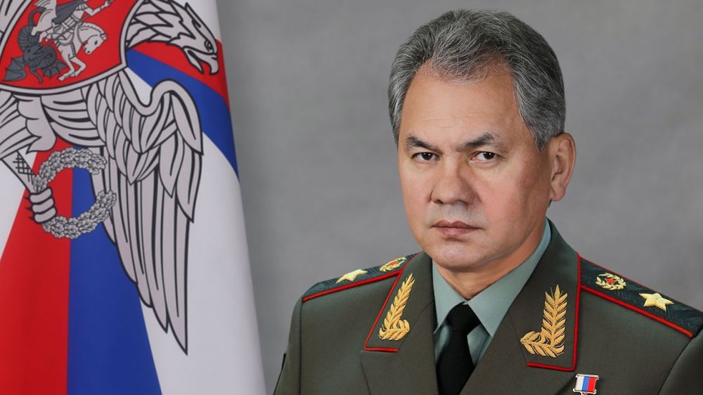 Шойгу отправил телеграммы отличившимся в зоне СВО бойцам соединений ЮВО