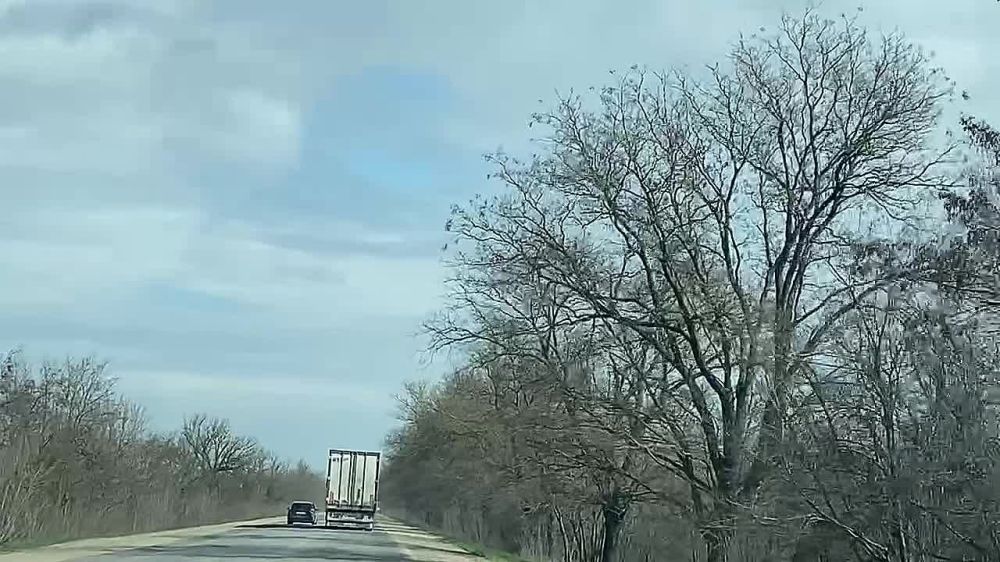 Дмитрий Стешин: Дорога из Севастополя в родной Донецк, эскорт, но не тот