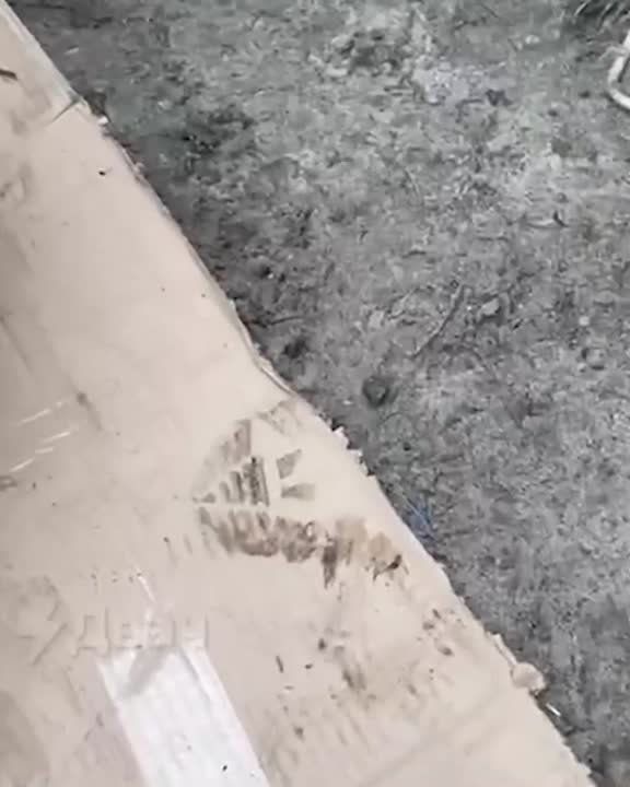 «Ну не могли же они опуститься до такого…»: почему некоторые до сих пор сомневаются в причастности Киева к теракту в «Крокусе»