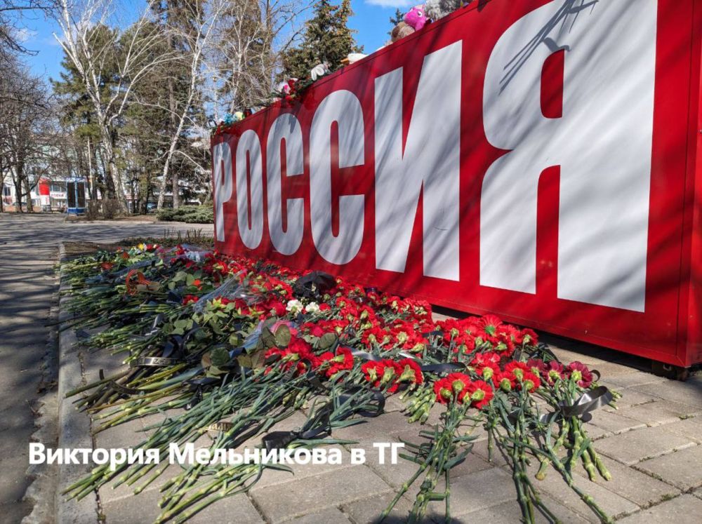 Виктория Мельникова: Донецк скорбит. Главред Подпишись