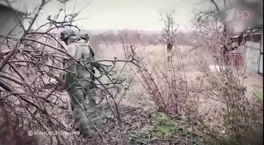 Марьяна Наумова: АВДЕЕВКА. МЫ ВОЗВРАЩАЕМСЯ ДОМОЙ: