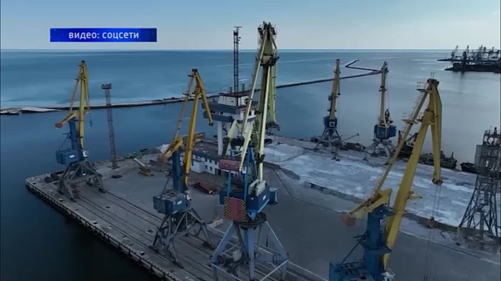 Количество участников свободной экономической зоны в новых регионах достигло 100 компаний