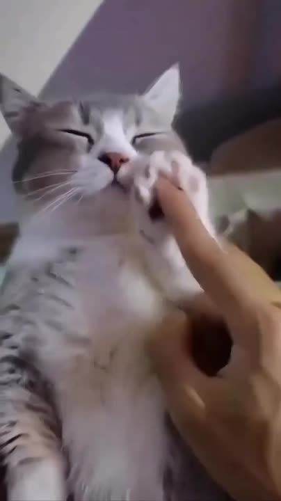 ������ ����! ���� �������, ������� � ������� ��� � ����� ������ � �������! � ����� ��� ����� ������! ���� ������ ���������!
