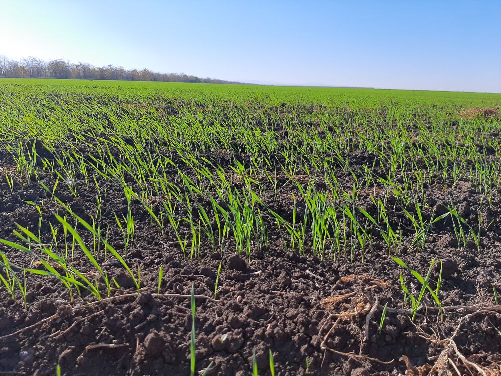 Вопросы агрохимического обследования земель сельхозназначения в центре внимания Минагропрома ДНР