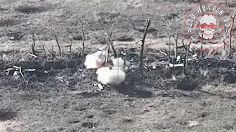 Борис Рожин: Всем отличных выходных!