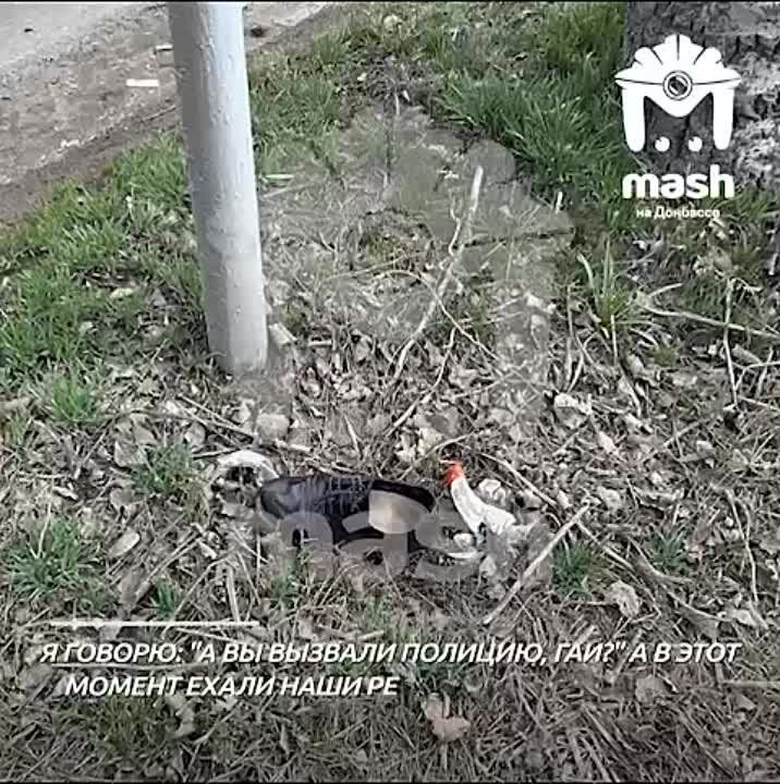 �������, ������� �������� ���� � �������� ��������, ������� �������