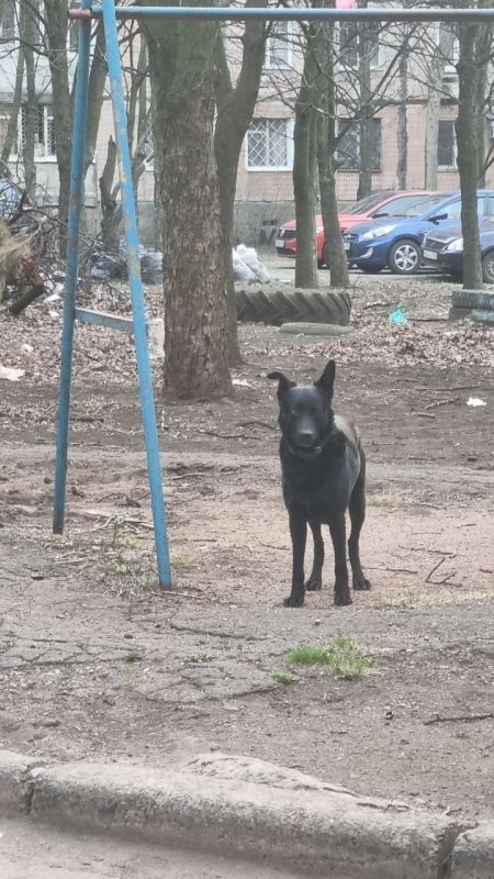 ��� �����:. �������, ������ ������ ����� ������ �� ����� ��� �������. ����� ���� ��������. ����� ��� ����� ��� ��� �������