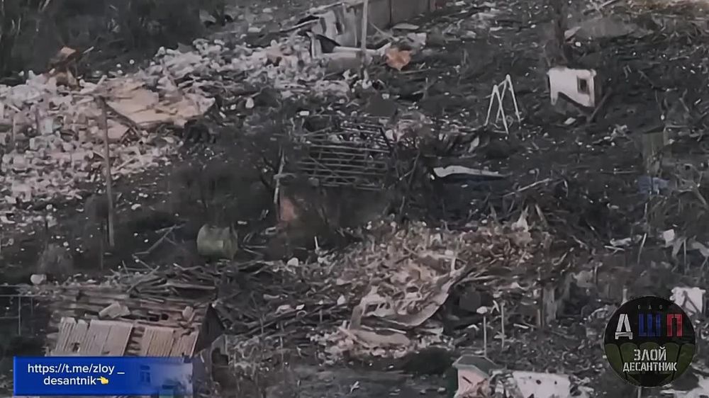 Борис Рожин: 5 бригада 1 Донецкого армейского корпуса разносит разносит позиции свиноподобных артой и FPV-дронами