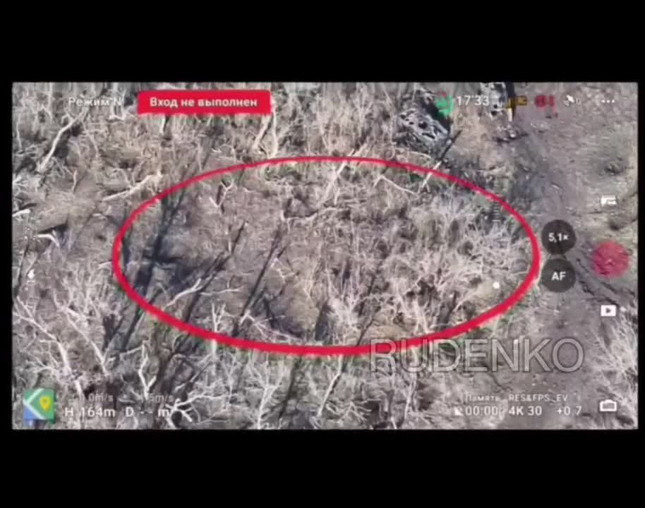 Борис Рожин: Отряд «Вега» на Донецком направлении уничтожает противника и его технику