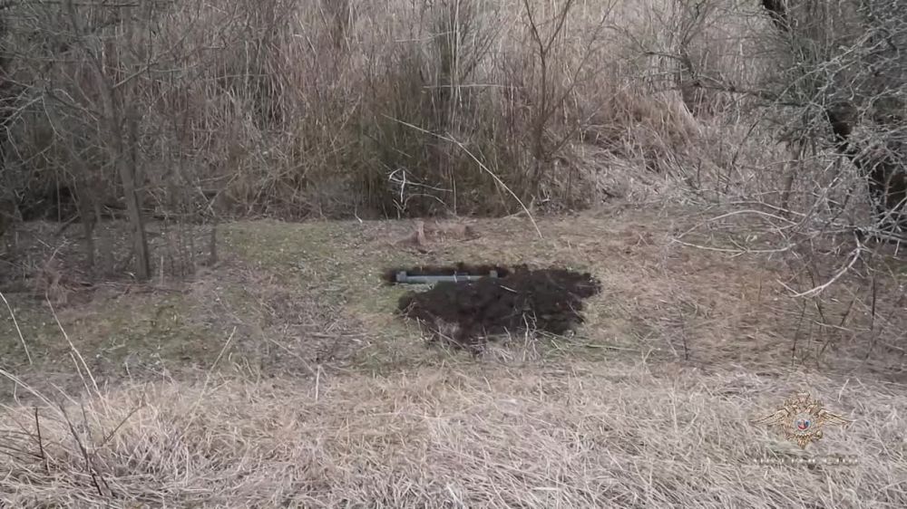 4 ������. ������ ���������߻ ����� �������