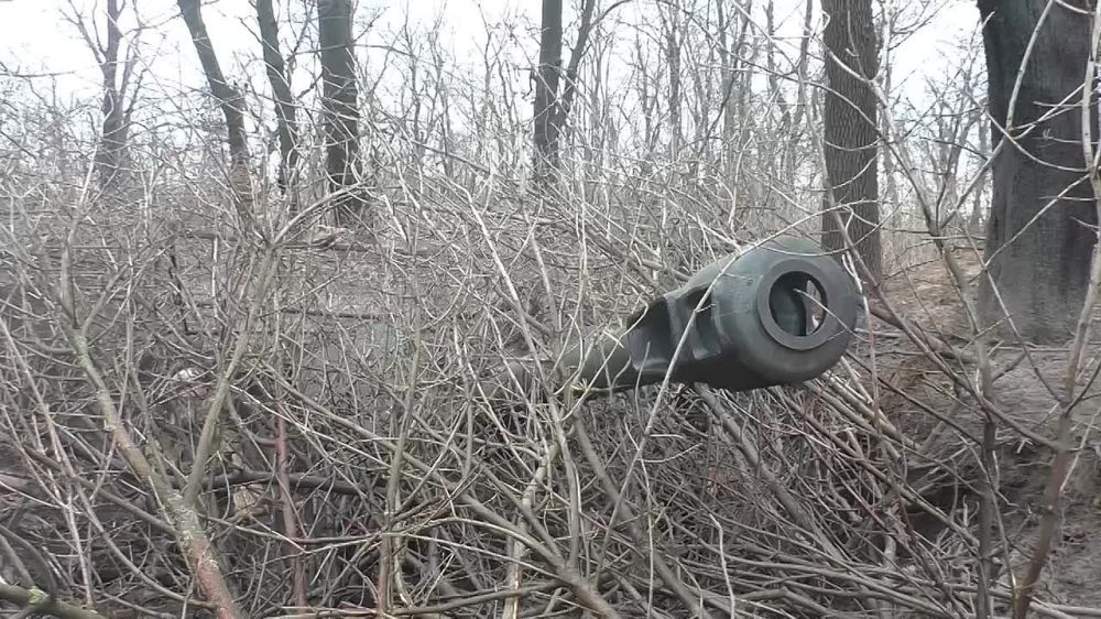 ������ �������: ���� ������������ �������� ������� ������ ���������� ������� �� �������� �����������