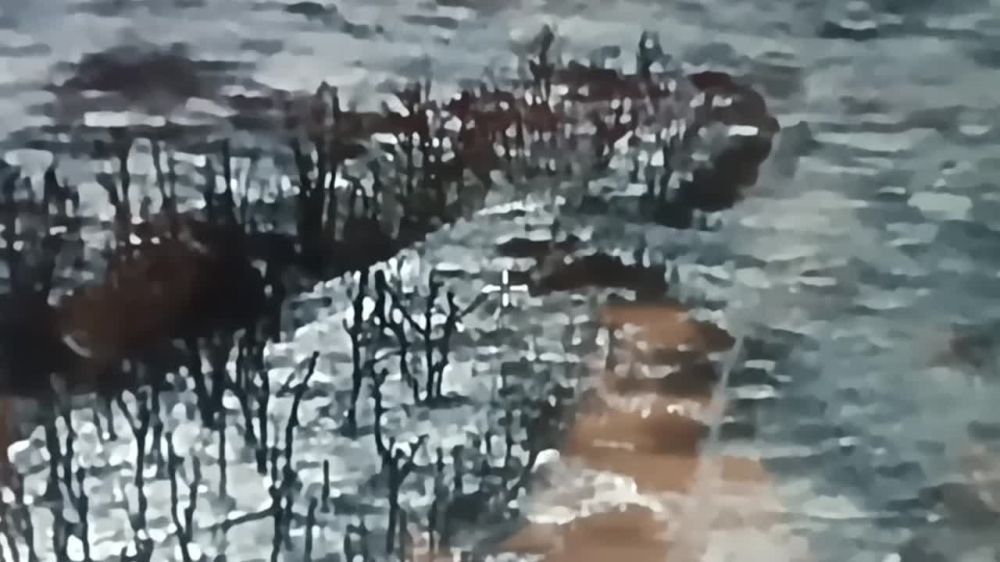 ������ �������: ���������� 2-�� ���������� ������� ���������� ��������������� ������� � ������ ������� ��� �� �������� �����������