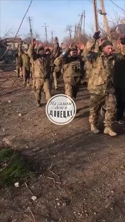 2 ���� �����, 4 ������ 2022 ���� ���������� ����������-������� ������ ���������� �� ������ ���� ������, �� � ������ � ���������