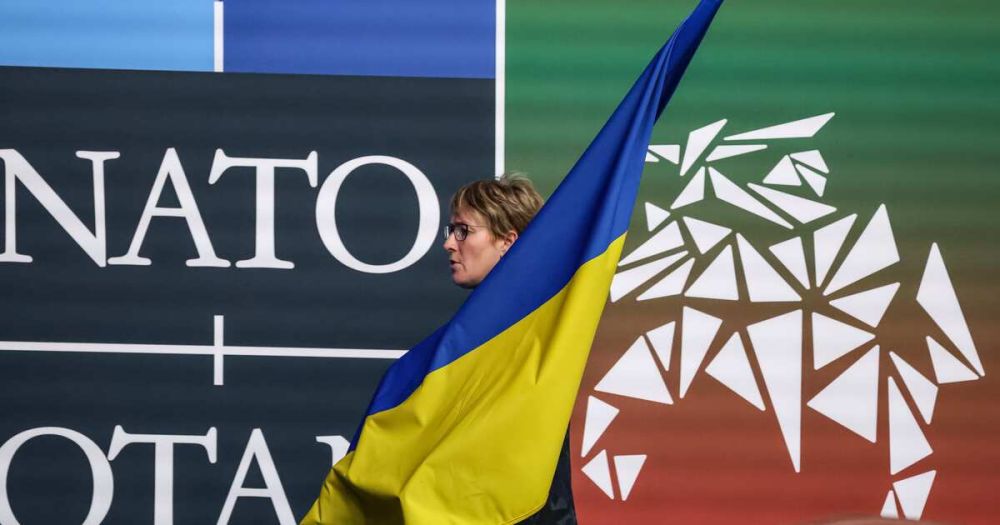 СМИ: НАТО обсуждает прием Украины в обмен на уступку территорий России