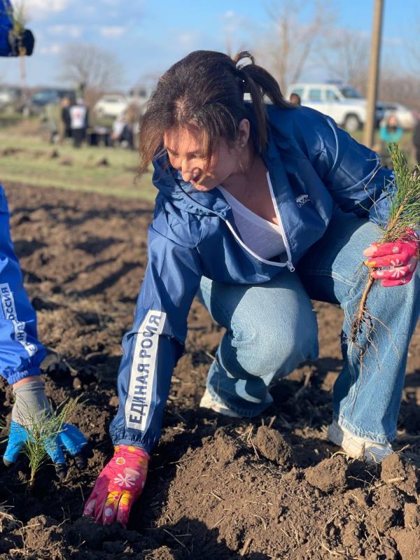 ���� �������������: ������� ������� � ����� ���� ������