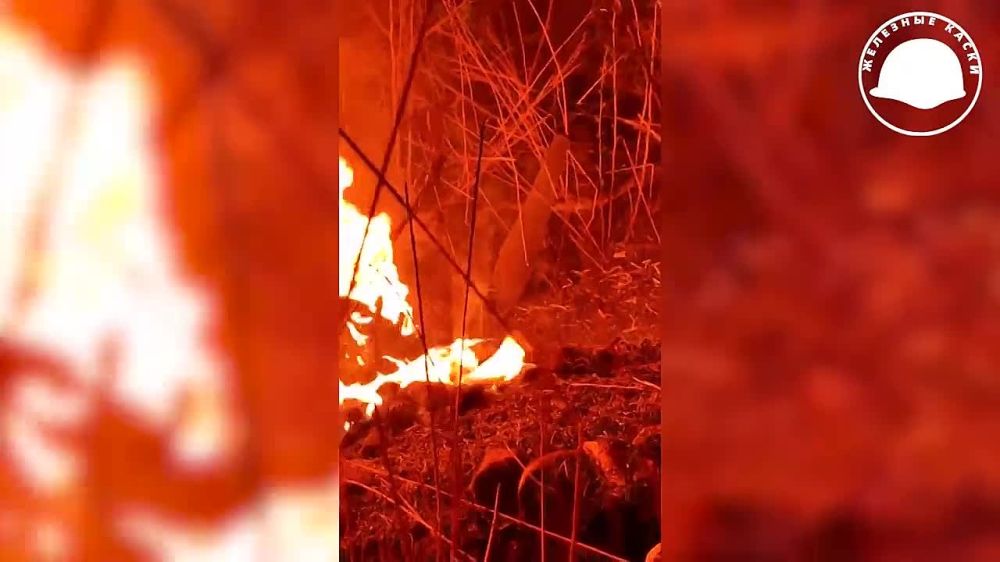 ����� �����: ��������� 1 ��������� ������� ����� ��������� "���� ���"