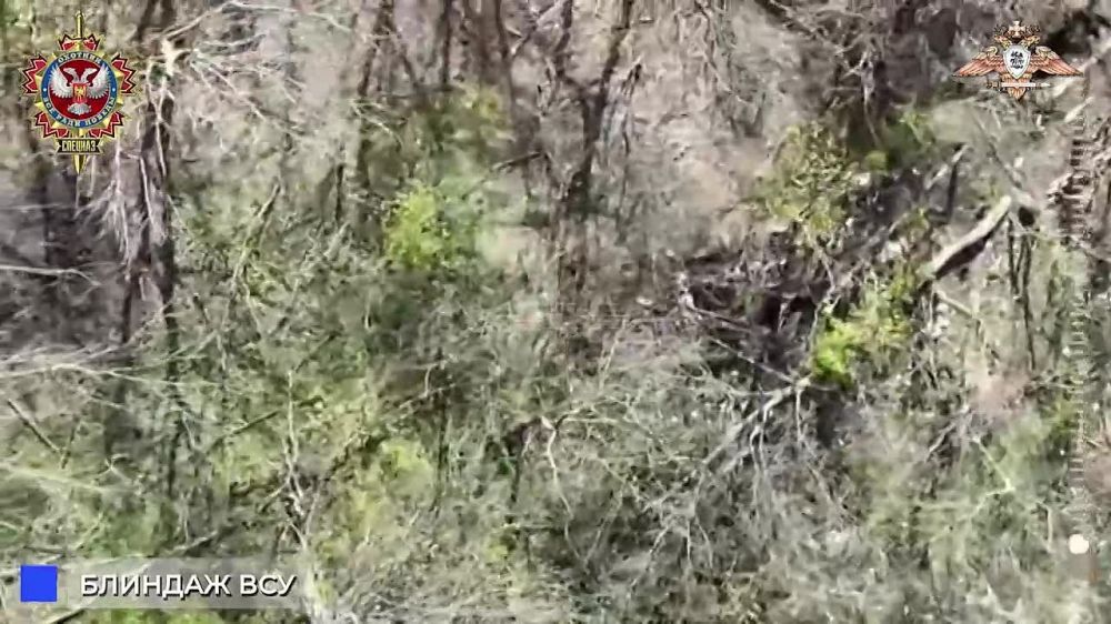 ����� �����: ������ ������ 58 ����� � ����� ���