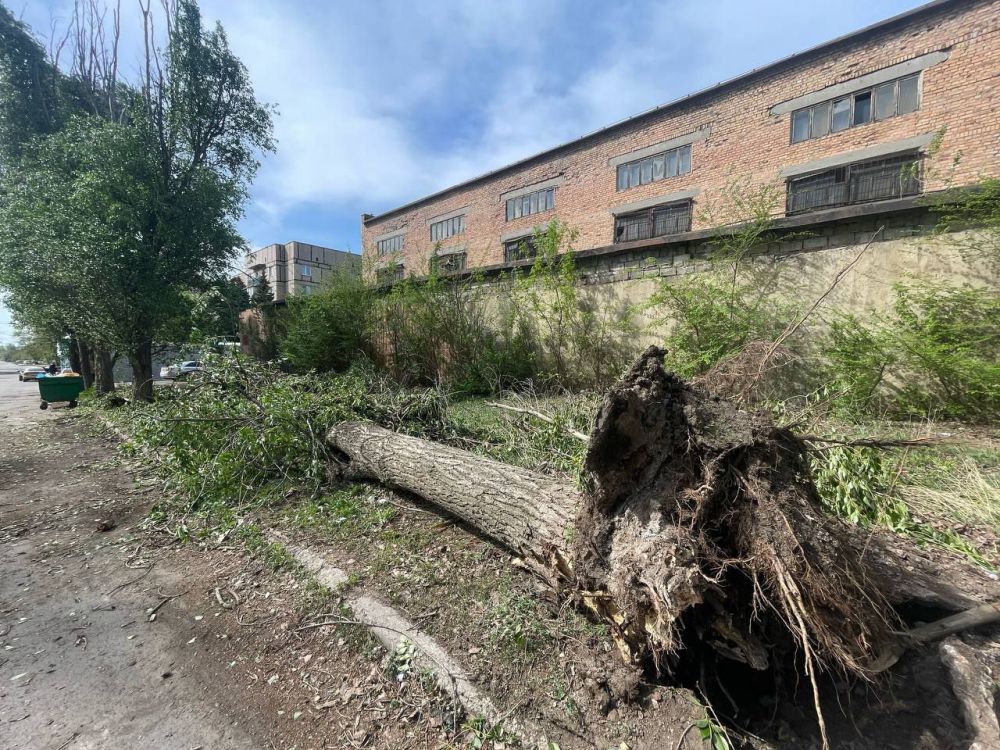 ������� ������: ��� ���������� ������������� ������������ ������ �.�������, ������ ���������� ����������� ���������� ������...