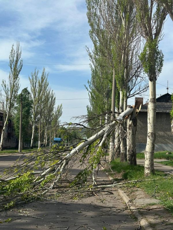 �������, 16.04.2024, ������������ ��� ��� ����������� ���������� ������, ��������� ������ �� ������ ������� ����� � �������� � ����������� ��������