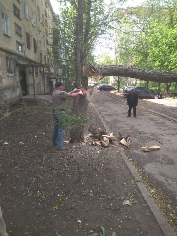 ������� ������: ������� ������ ��� ��� "����������� �������� ������������ ������ �.�������" ������������ ������ �� ���������� ����������� ��������