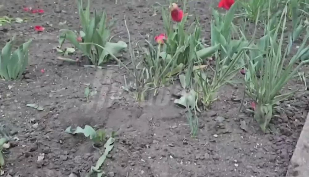 ����������� �������� �� ������� ��� ����������� ������ �������