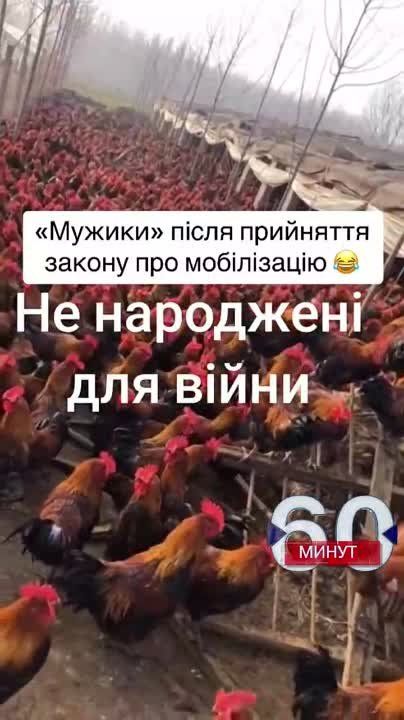 ������ �������� �� ����: