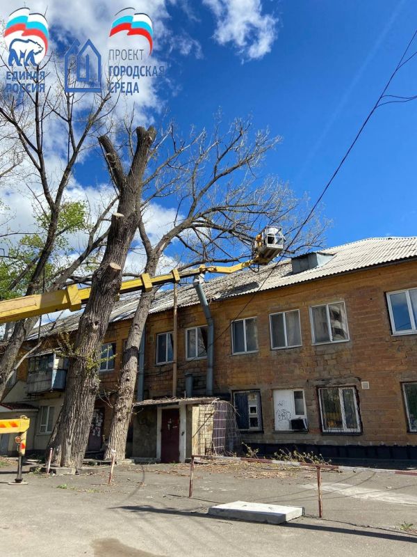 Иван Адамец: Сегодня, в рамках проекта "Городская среда" партии "Единая Россия", силами бригады специалистов МУП АГД "УК Куйбышевского района" с использованием автовышки были проведены работы по спилу сухих и аварийных деревьев на проспекте Офицерском