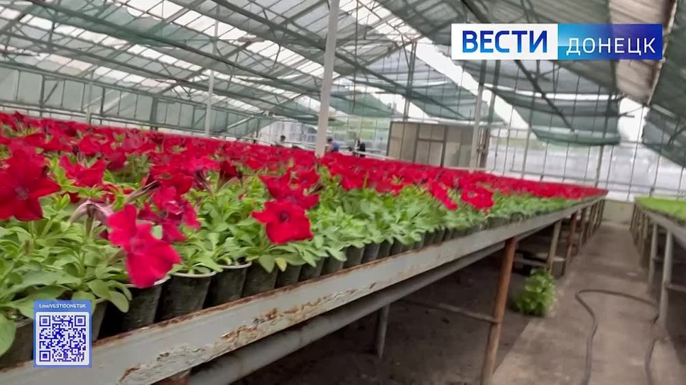 ���������� ����������� ������ ������� ��������� ����� 250 ����� ������ � ���� ������