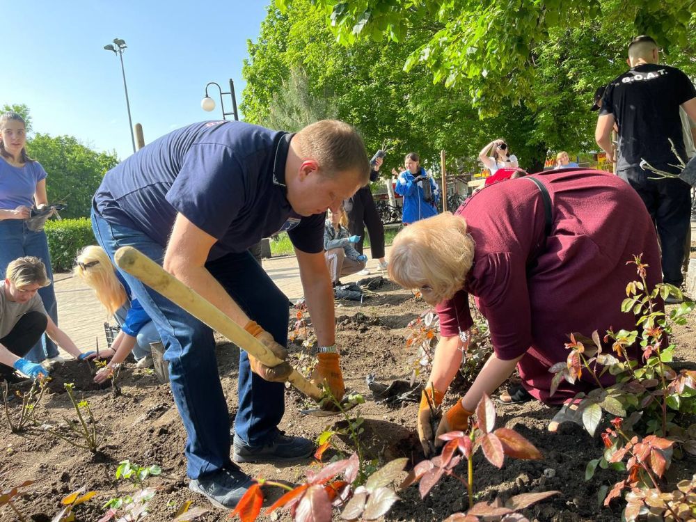 ������� ��������: �������, 27 ������, ����������� ����� ������������� ���������� ������ ������ ����� ��������, ����������...