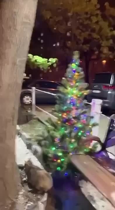 � ����� ��������:. � ������ ��������� ����� �������� ��� �����. ��������� �������� ����������� � ���������� ��������. ���������� � ��� �������� #������������ �� ���������� �����: