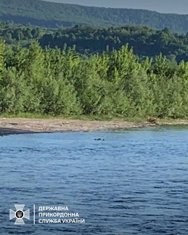��� ���� �������� ������ � ���� ��� ������� �������� �� ������ ��������� � ������������� ������ � ����