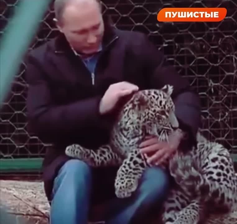 �� ������ ������ ���������, �� � ������ �������