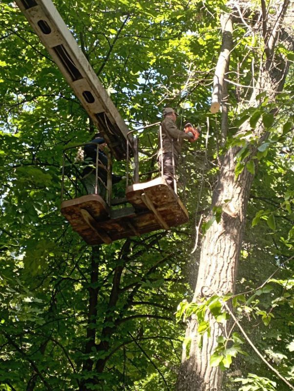 ������� ������: ������� ������ ��� ��� "����������� �������� ������������ ������ �.�������" ��������� ���������� ������� ������ �������� �� ���������� ���������� ������ ���� �103 �� �������� ��������