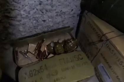 � ��������� �������� ���������� �������������� ����� � ����������� �����������