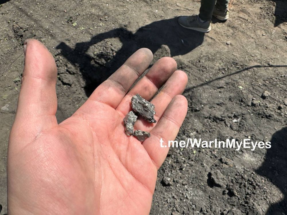 ����� �����: ����������� �������� ���������� ������ �������, ������� ����� ���������