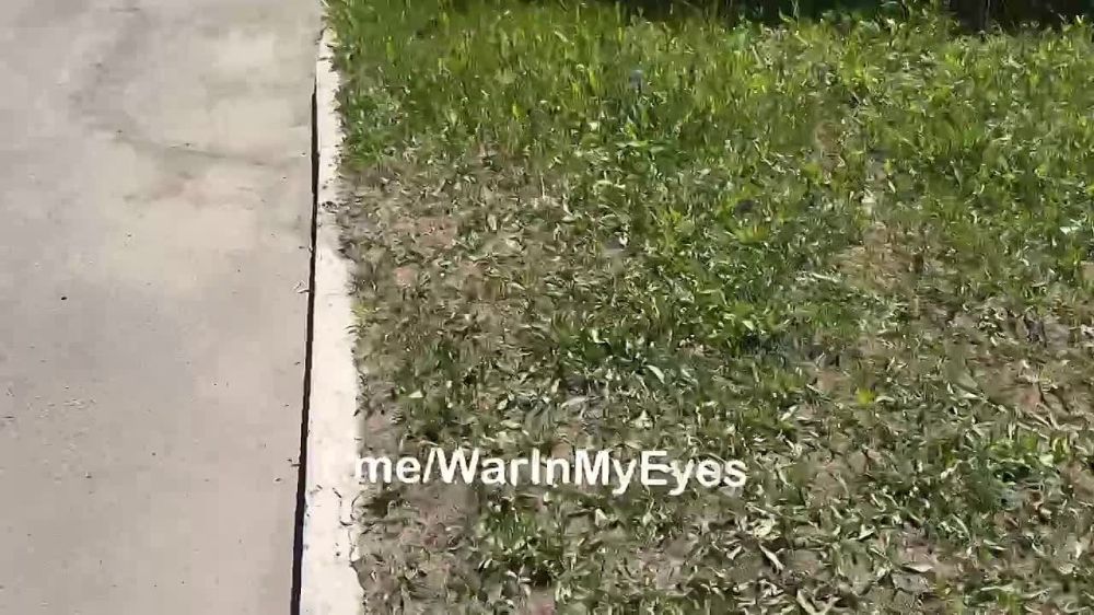 ����� �����: ��������� ��������� �� ���� ��������� ����� �������