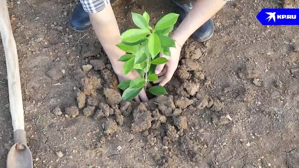 Александр Малькевич: Находясь в Донецкой Народной Республике, невозможно оставаться безучастным к происходящему там!
