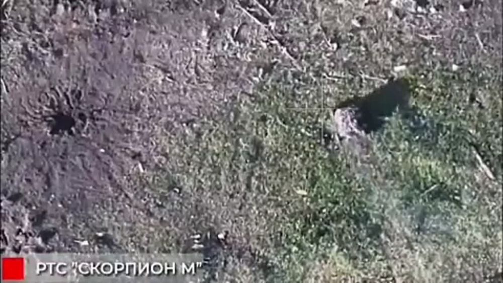 Дмитрий Рогозин: Ладно, не обращайте внимание на наши зловещие шуточки и подбор саундтрека